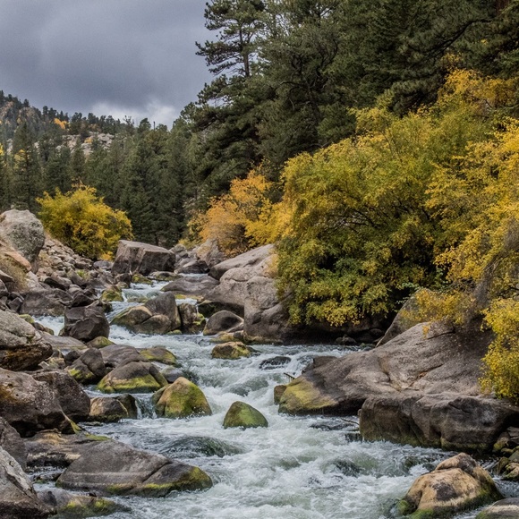 Meet your Posher, Peaches - Picture 2 of 2